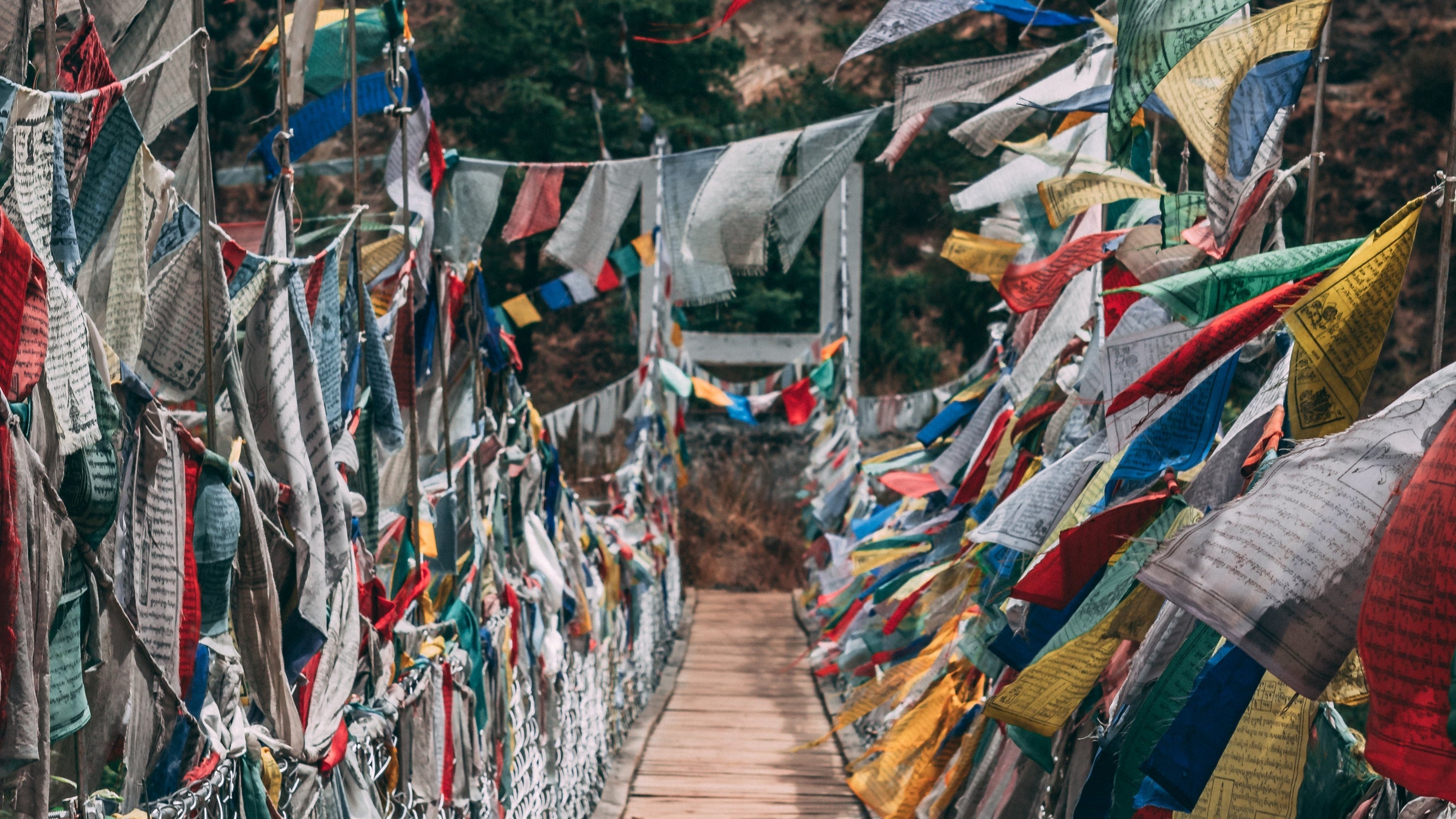 Prayer Flags - Tara Print