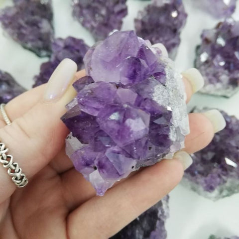 Amethyst Cluster