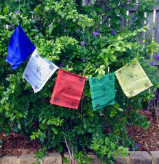 Prayer Flags - Windhorse Print